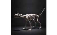 Dog Skeleton Standing Skeleton Dog Realistic for Spooky Attraction