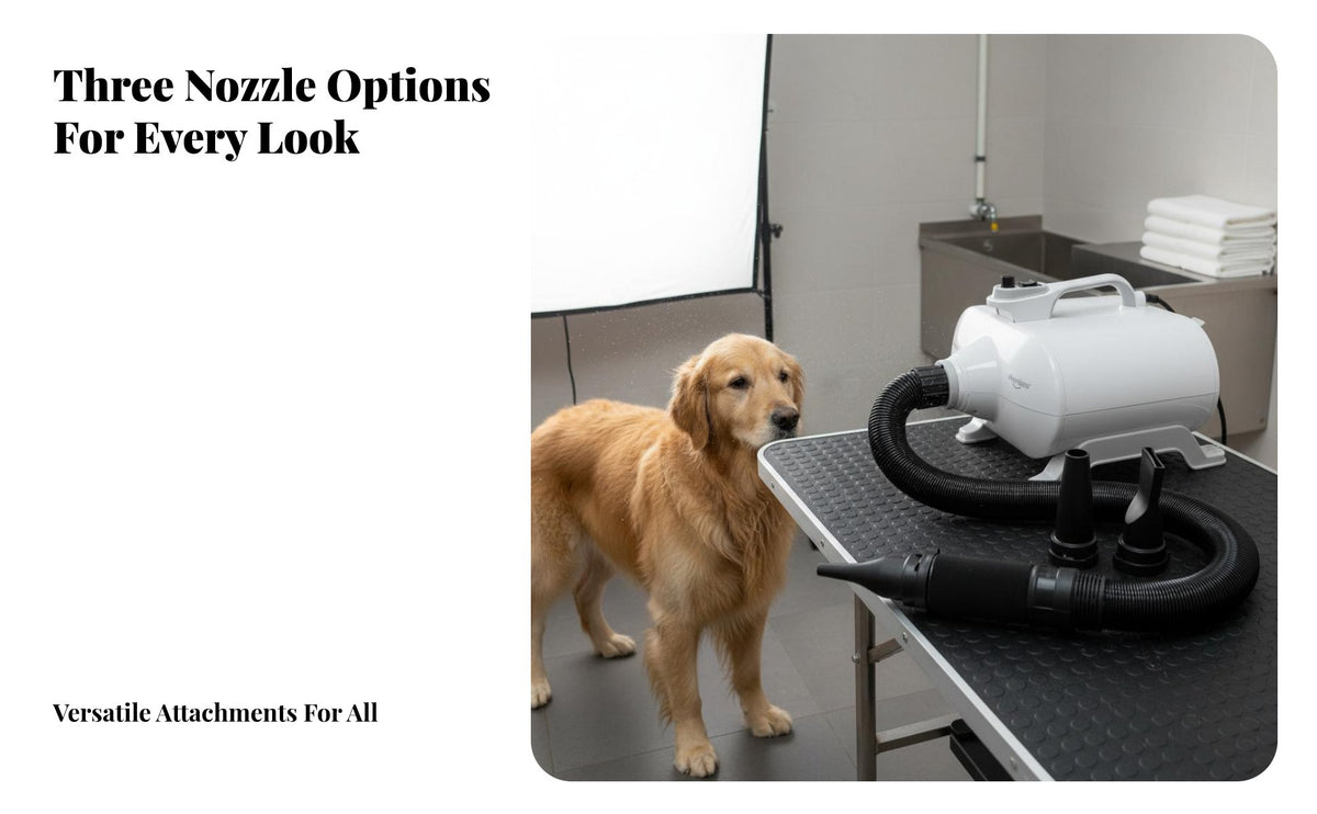 Flexible Hose Twin Engine Pet Force Dryer Variable Speed Control Twin Engine Force Dryer Overheat Protection Dog Grooming Blower 3 Nozzles Included for Large Dogs, Veterinary Office