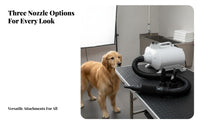 Flexible Hose Twin Engine Pet Force Dryer Variable Speed Control Twin Engine Force Dryer Overheat Protection Dog Grooming Blower 3 Nozzles Included for Large Dogs, Veterinary Office