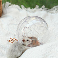 Clear Hamster Sphere Transparent Hamster Exercise Sphere Outdoor Use for Indoor