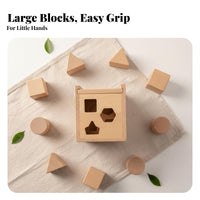 Unpainted 15 Hole Intelligence Box Early Learning Wooden Shape Sorter Box Natural Wood Wooden Shape Sorting Educational Toy Educational for Toddlers, Preschoolers, Babies, Preschool Classroom, Daycare, Playroom