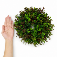 Artificial Wreath All Year Round, Eucalyptus Wreath 30-100cm, Door Decoration For Front Door And Outdoor Area, Nordic Summer Wreath