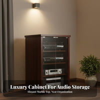 1 Piece KTV Amplifier Stand Audio Equipment Rack Heavy Duty Ventilated Design Rolling Cabinet with Mesh Door Suitable for Audiophiles Studio Living Room
