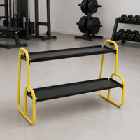 Dumbbell Rack, Short Dumbbell Rack, 2-Tier Metal Dumbbell Stand, Yellow-Black for Home Gym, Compact Dumbbell Storage for Fitness