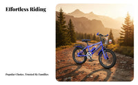 Student Transport Bike Long-Lasting Gender-Neutral Young Bike Transport Cycle High-Carbon Steel Frame Double Disc Brake Cycle