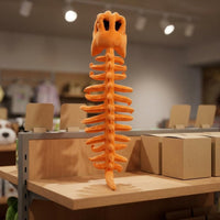 Dinosaur Skeleton Headpiece Child Size Stuffed Skeleton Suit Piece Vacuum Compressed for Children