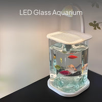 Creative Betta Fish Glass Tank with LED Light, Desktop Decor