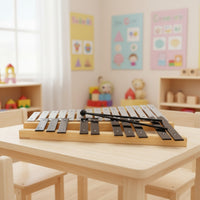 25 Note Xylophone Classroom-Friendly Xylophone with Carry Case Glockenspiel with Carrying Bag for Kids, Beginners