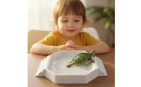 Turtle Bath Base Aesthetic Basking Base Bowl Easy to Clean Tortoise Bath Basin for Aquarium Decor