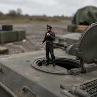 1:72 Scale Figure Pre-Painted Combatant Figure Non-Assembly Miniature for Display