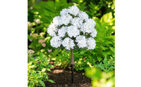 2 Pieces Artificial Hydrangea Tree Realistic Tree with Stake Fake Flower for Homeowners, Patio, Porch