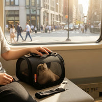 Ventilated Pet Carrier Bag with Shoulder Strap Mesh Pet Carrier with Shoulder Strap Multi-Entry Breathable for Small Pets, Kittens, Young Dogs, Travel, Vet Visits, Car Rides