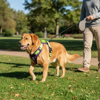 Reflective Dog Vest Harness Lightweight 2-in-1 Dog Harness Leash Get Loose-Resistant for Outdoor