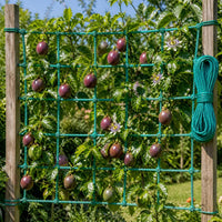 Plant Climbing Net for Vines, Fruits, and Vegetables - Durable Trellis Support
