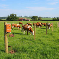 Two-Way Power Two-Way Power Electric Fence Energiser LED Indicator Lights High Voltage Fence Energiser Energy Saving Farming Equipment for Ranchers, Farmers, Ranch, Pasture, Farm, Outdoor
