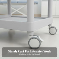 Mobile Instrument Stand Multi-Tier Storage Salon Rolling Stand Esthetician Trolley Cart Effortless Mobility for Ink Work Artists