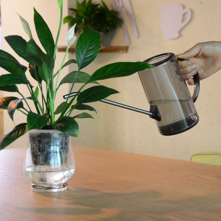 Stainless Steel Long Spout Watering Can for Indoor Plants & Succulents