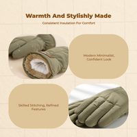 Winter Gloves, Waterproof Windproof Thermal, Outdoor Ski