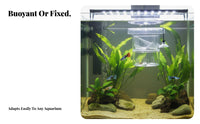 Aquatic Breeder Box High Clearness Buoyant Aquatic Breeding Box Removable Divider Multifunctional for Aquarists