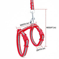 Cat Harness and Leash Set, H-Shaped Harness Leash with Chest Strap, Reflective Outdoor Walking Training Gear, Adjustable Zinc Alloy Buckle Set