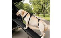 Supportive Dog Lifting Harness Adjustable Dog Harness with Rear Leg Straps Padded Secure for Senior Dogs, Stairs, Car, Walking
