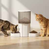 Cat Feeder with Double Bowls Transparent Timed Dry Food Dispenser for Multiple Pets, Daily Feeding