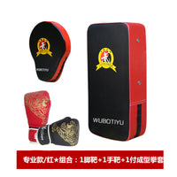 Taekwondo Kickboxing Punch Mitts for Kids & Adults - Martial Arts Training Focus Target