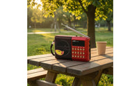 Telescopic Antenna AM AM and Radio Band Pocket Radio Carrying Strap Portable Radio Compact Body Audio Device Speaker Grille