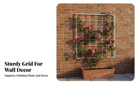 Climbing Plant Wall Grid Indoor Outdoor Use Wall Mounted Trellis Weather-Resistant Metal Climbing Plant Support for Gardeners, Balcony, Patio