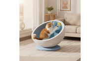Cat Scratching Pillar with Nest Compact Feline Furniture with Scratching Pillar Multifunctional for Kittens, Apartment