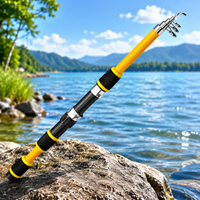 fishing rod set