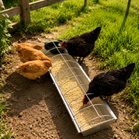 Steel Poultry Feeder, Polished Silver Chicken Feeder for Smallholders, Weatherproof & Vermin Resistant