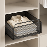 Pull Out Wardrobe Wire Basket, Small Metal Powder-Coated Closet Basket Drawer, Telescopic Sliding Cabinet Organiser for Clothing Storage