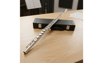 16-Key Flute with E Key Nickel-Plated Closed-Hole C Flute Woodwind Cupronickel Detachable for Beginners, Practice, Lessons