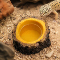 Reptile Feeding Dish Resin Decor for Terrariums Aquariums