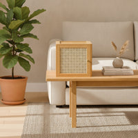 Cabinet with Cane Front Modular Stackable Storage Cabinet Rattan Stackable Storage Unit for Small Areas, Living Room, Study
