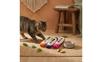 Sisal Kitten Roller Indoor Exercise Kitten Scratch Roller