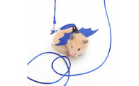 Adjustable Halloween Hamster Harness Comfortable Winged Hamster Harness Easy to Put on Small Pet Chest Strap Secure Buckle for Hamsters, Outdoor Walks