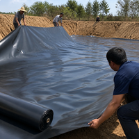 Geomembrane Liner HDPE 0.5mm Thick Canal Reservoir Leakproof Sheet 4m×50m