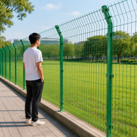 Animal-proof Wire Mesh Fence, Green, Double Wire, High Security, Rust-proof, Powder Coated