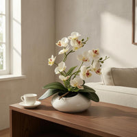 Phalaenopsis Tabletop Flowering Plant Decor 12-Blossom Flowering Plant Bonsai Photography Prop Film Material