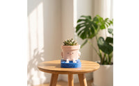 Planter Cute Planter with Stand Cartoon Bottom-Watering Plant Pot for Desk, Office, Windowsill