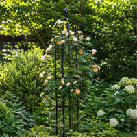 U-shaped Metal Trellis, 30cm, Black Trellis with Flower Top, Freestanding Plant Support, Rose Arch for Climbing Roses & Clematis