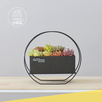 Modern Creative Iron Art Desktop Succulent Planter with Ceramic Pot and Stand