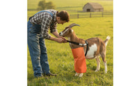 Anti-Breeding Apron Long-Lasting Breeding Control Apron Reliable Practical for Breeders, Farms, Pastures