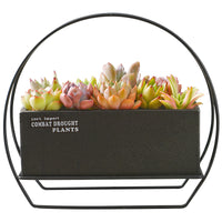 Modern Creative Iron Art Desktop Succulent Planter with Ceramic Pot and Stand