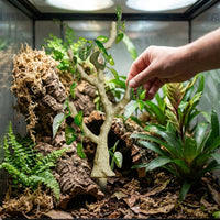 Jumping Arachnid Enclosure Accessories, Flexible Positioning Arboreal Branches for Decoration, 45cm Reptile Habitat Plant