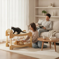 Double-Layer Cat Bed Scratch-Resistant 2-Tier Cat Hammock Woven Furniture for Cats, Kittens, Living Room, Bedroom