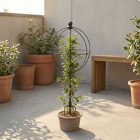 Spherical Trellis Easy to Assemble Globe Trellis Decorative Plant Support