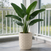 Flower Pot Imitation Ceramic Plant Basket Planter for Entryway